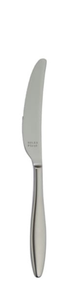 Nóż stołowy Terra Retro 240 mm - Solex