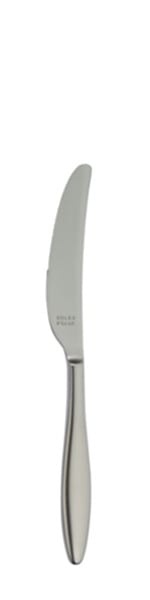 Nóż deserowy Terra Retro 216 mm - Solex
