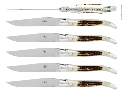 Sześć noży, rękojeść z poroża jelenia, polerowana, Tradition - Forge de Laguiole