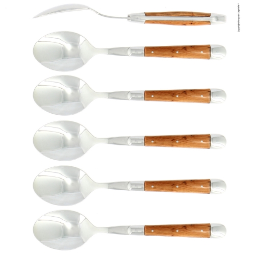 Sześć łyżek, uchwyt En, polerowany, Tradition - Forge de Laguiole