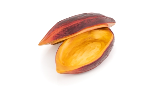 Naczynie do serwowania, Cocoa Bean, 26 x 12 cm - 100% Chef