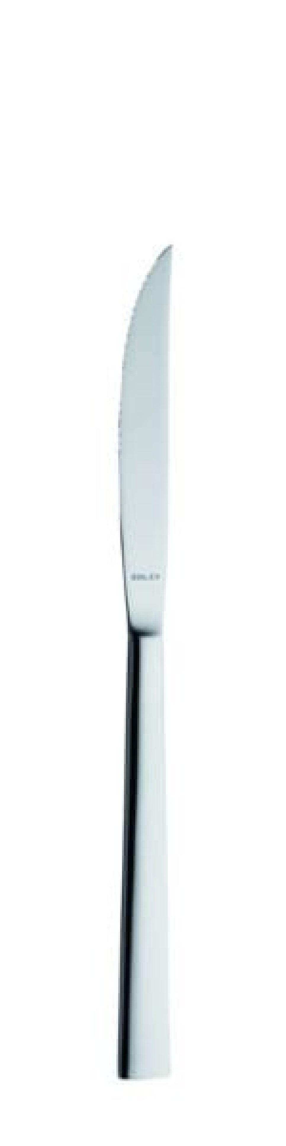Nóż do steków Helena 233 mm - Solex w grupie Nakrycie stołu / Sztućce / Noże w The Kitchen Lab (1284-21569)