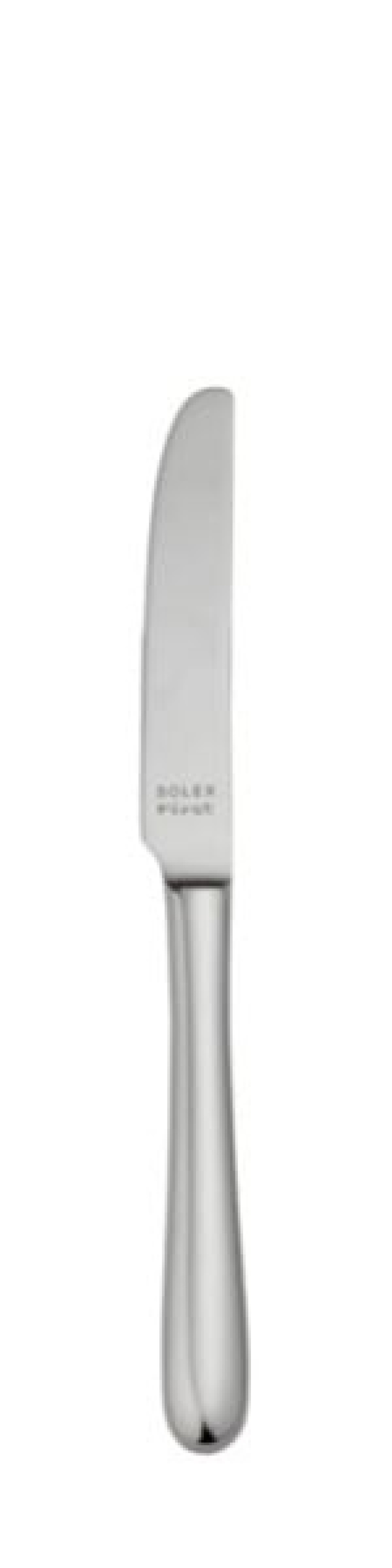 Nóż deserowy Anna 223 mm - Solex w grupie Nakrycie stołu / Sztućce / Noże w The Kitchen Lab (1284-21570)
