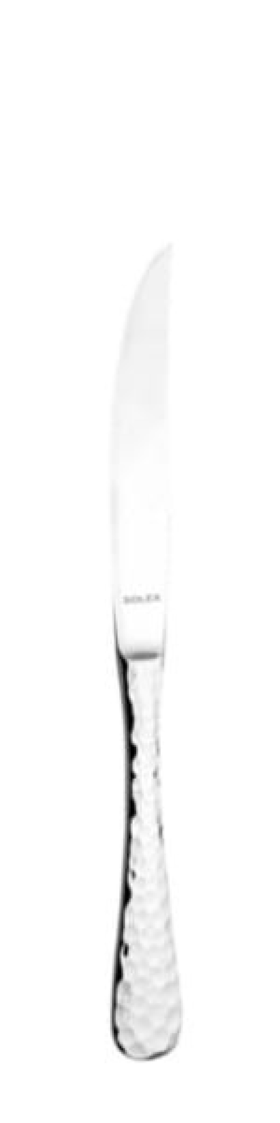 Nóż do steków Lena 235 mm - Solex w grupie Nakrycie stołu / Sztućce / Noże w The Kitchen Lab (1284-21621)
