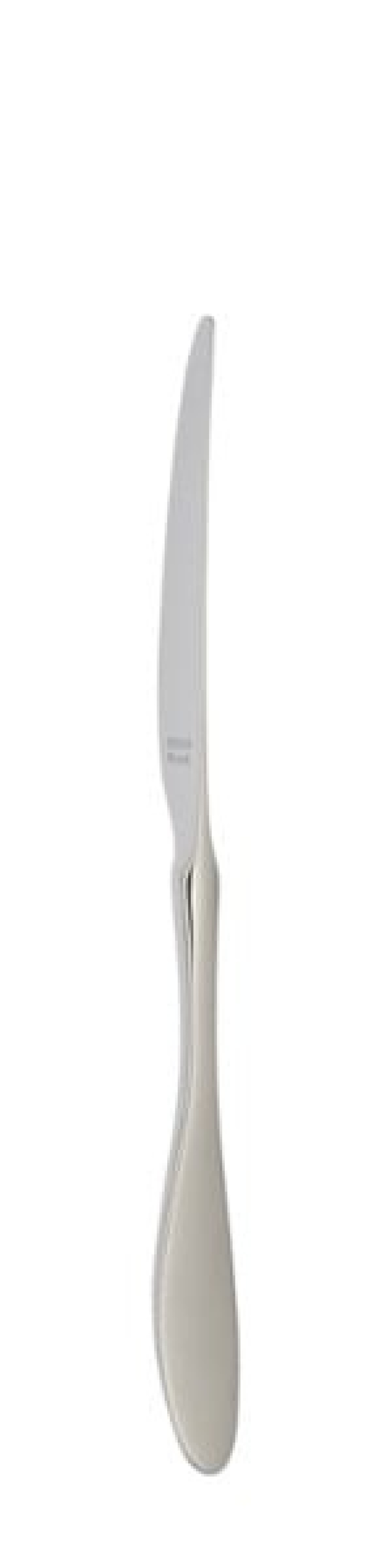 Nóż stołowy Terra 239 mm - Solex w grupie Nakrycie stołu / Sztućce / Noże w The Kitchen Lab (1284-21641)