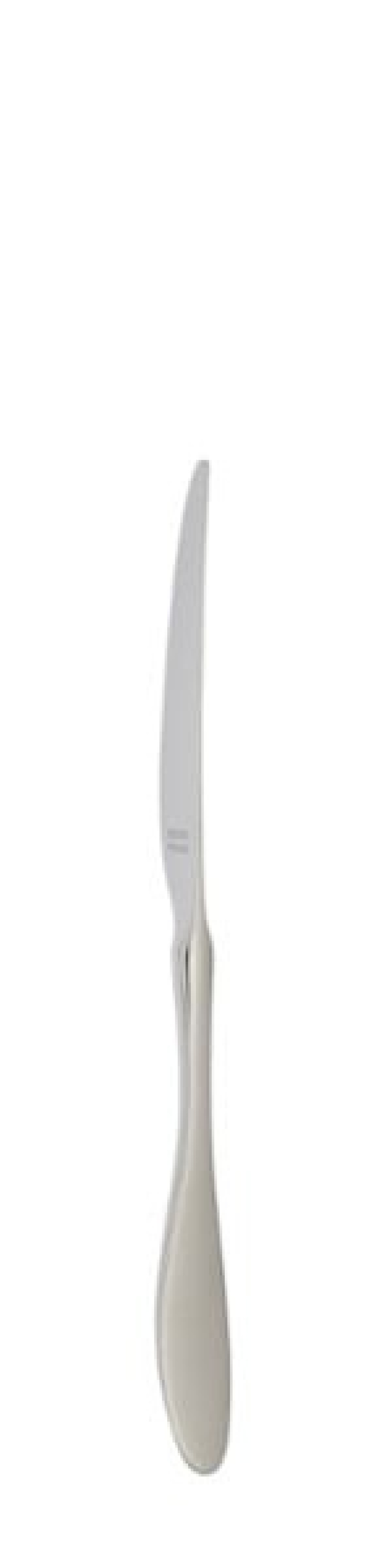 Nóż deserowy Terra 210 mm - Solex w grupie Nakrycie stołu / Sztućce / Noże w The Kitchen Lab (1284-21642)