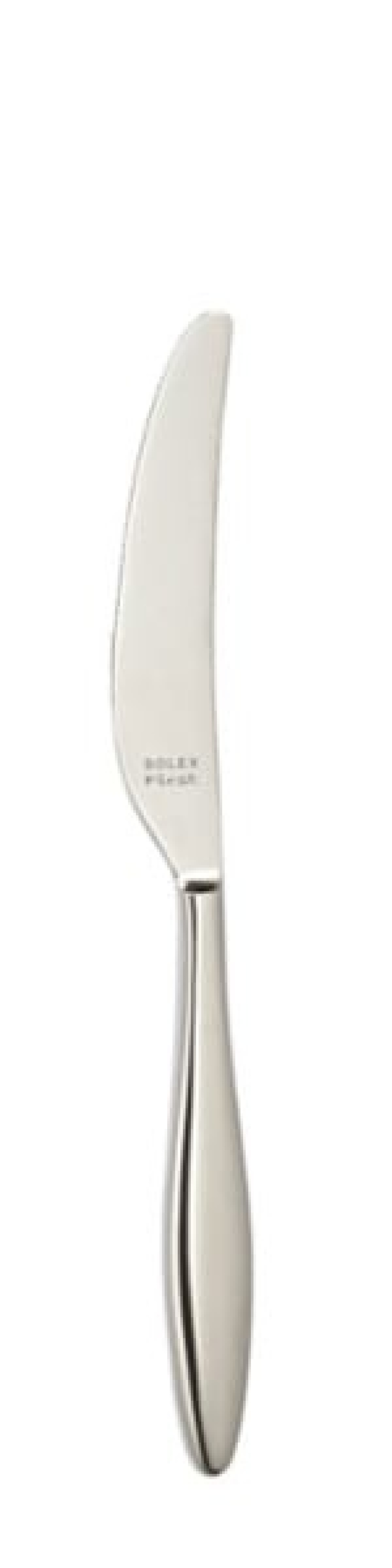 Nóż stołowy Terra 240 mm - Solex w grupie Nakrycie stołu / Sztućce / Noże w The Kitchen Lab (1284-21643)