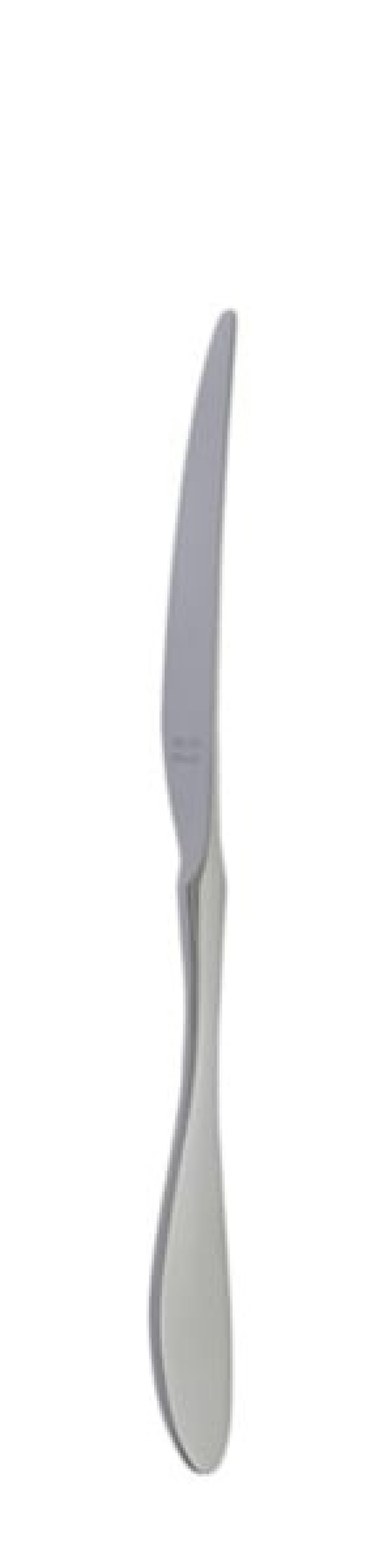 Nóż stołowy Terra Retro 239 mm - Solex w grupie Nakrycie stołu / Sztućce / Noże w The Kitchen Lab (1284-21659)