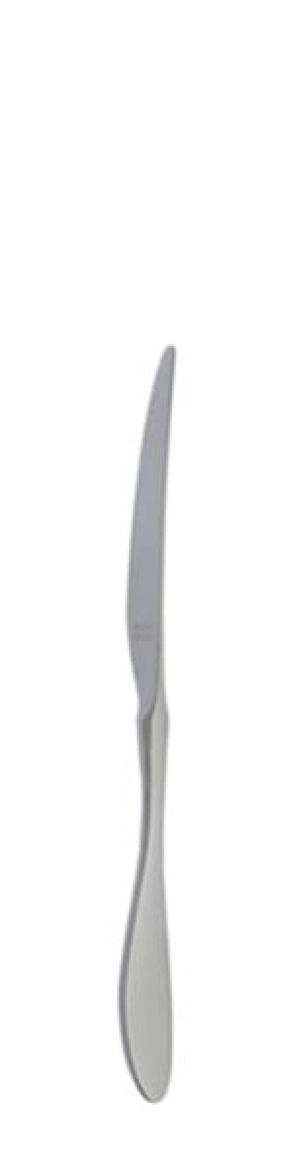 Nóż deserowy Terra Retro 210 mm - Solex w grupie Nakrycie stołu / Sztućce / Noże w The Kitchen Lab (1284-21660)