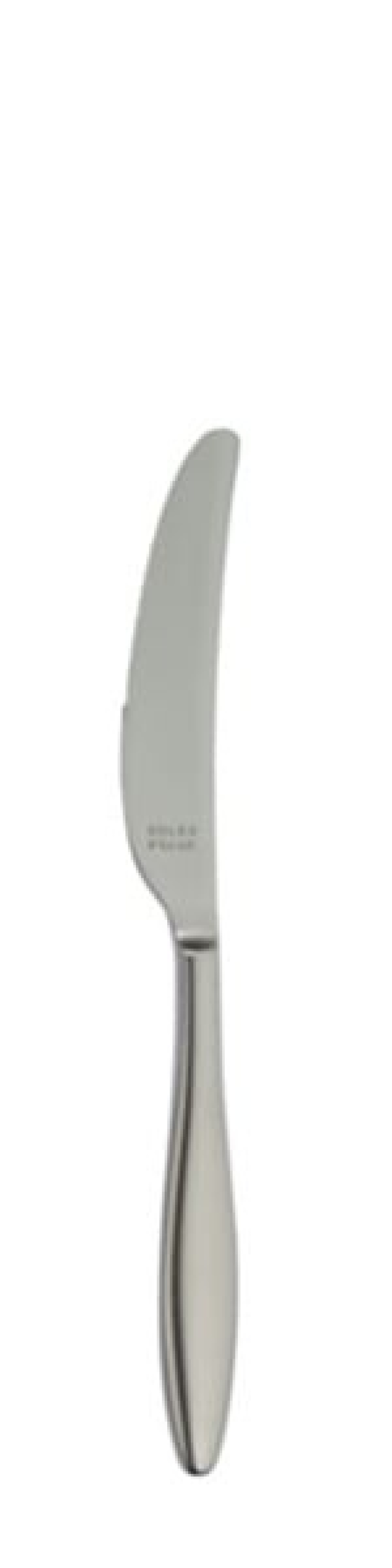 Nóż deserowy Terra Retro 216 mm - Solex w grupie Nakrycie stołu / Sztućce / Noże w The Kitchen Lab (1284-21662)