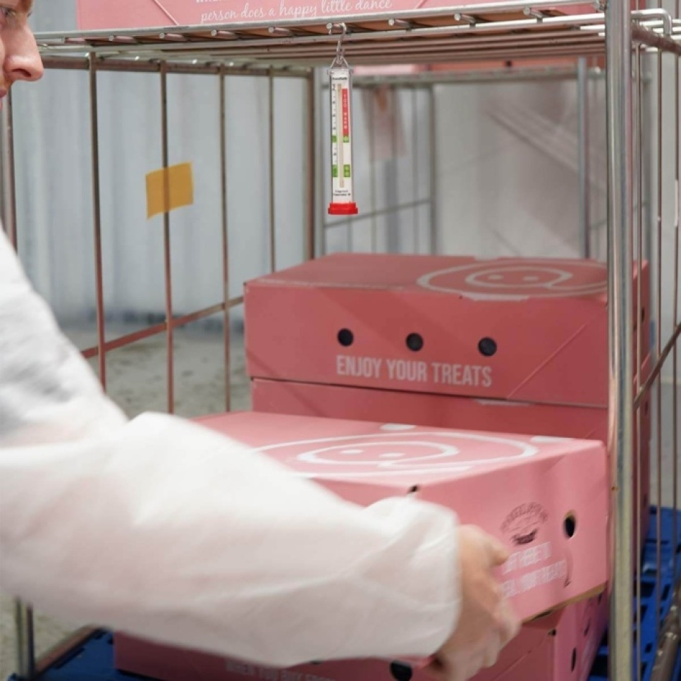 Termometry do chłodziarek i zamrażarek - ETI Termometry do chłodziarek i zamrażarek - ETI