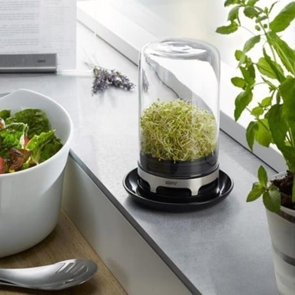 Słoik do kiełkowania - Gefu Słoik do kiełkowania - Gefu