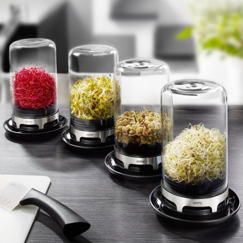 Słoik do kiełkowania - Gefu Słoik do kiełkowania - Gefu