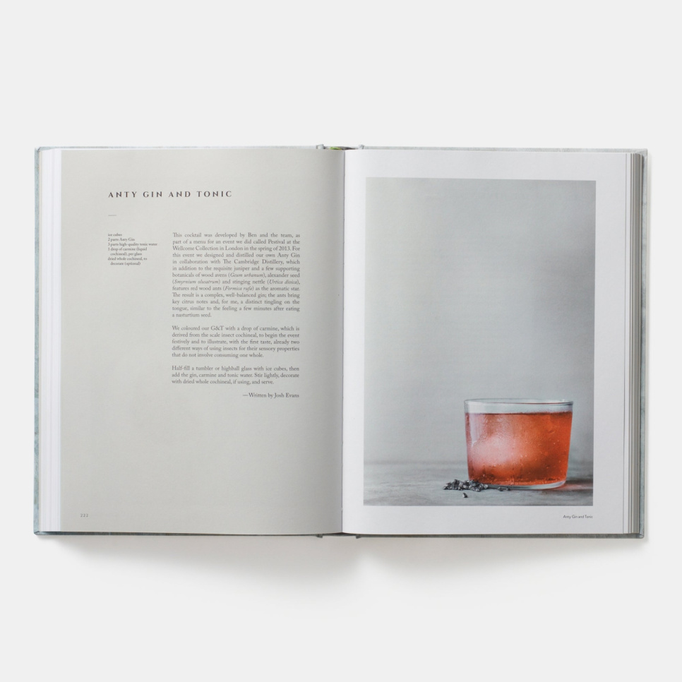 On Eating Insects - Essays, Stories and Recipes