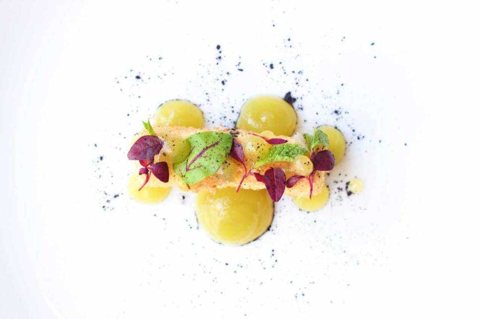 Kwas cytrynowy (E330) - The Kitchen Lab