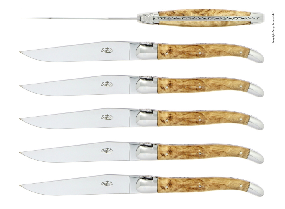 Sześć noży, rękojeść brzozowa, polerowana, Tradition - Forge de Laguiole w grupie Nakrycie stołu / Sztućce / Noże w The Kitchen Lab (1446-32910)