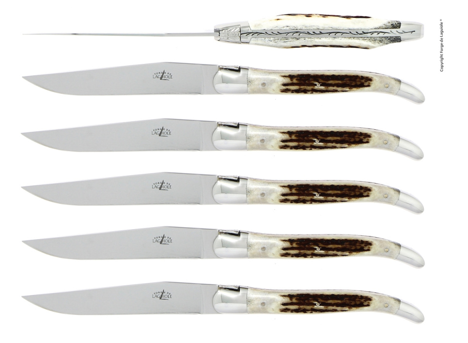 Sześć noży, rękojeść z poroża jelenia, polerowana, Tradition - Forge de Laguiole w grupie Nakrycie stołu / Sztućce / Noże w The Kitchen Lab (1446-32911)