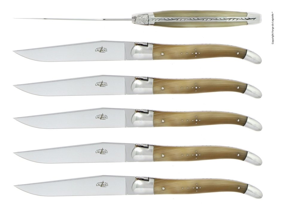 Sześć noży, rękojeść z jasnego rogu, polerowana, Tradition - Forge de Laguiole w grupie Nakrycie stołu / Sztućce / Noże w The Kitchen Lab (1446-32913)