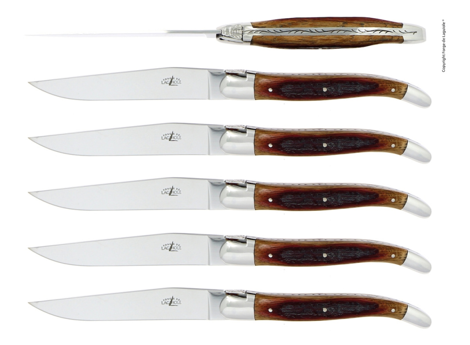 Sześć noży, rękojeści z drewna dębowego, polerowane, Tradition - Forge de Laguiole w grupie Nakrycie stołu / Sztućce / Noże w The Kitchen Lab (1446-32918)