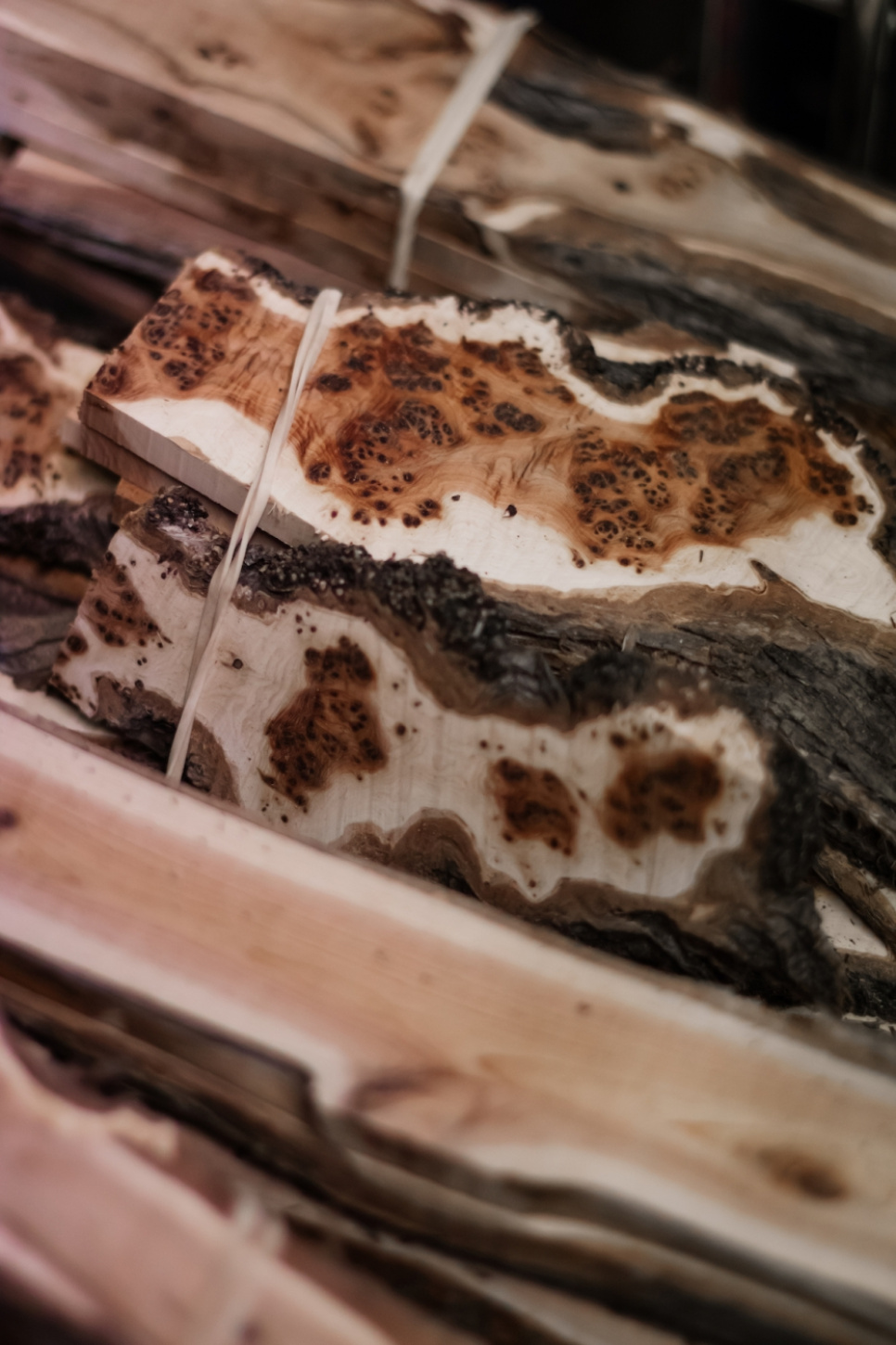 Nóż sommelierski ze skamieniałego dębu, damascenizowany z dekoracją, kolekcja - Forge de Laguiole