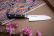 Santoku 13,5 cm - Pro House