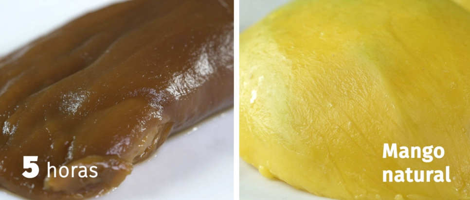 OCOO PRO, podwójny szybkowar - OCOO