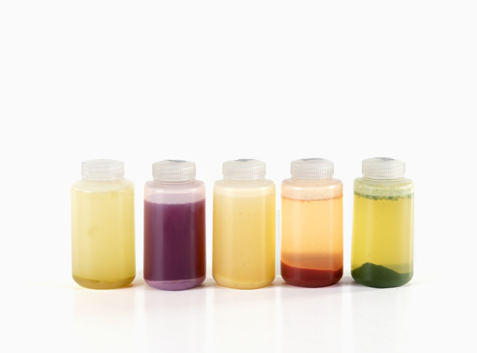 Centricook, wirówka do gotowania i napojów - 100% Chef