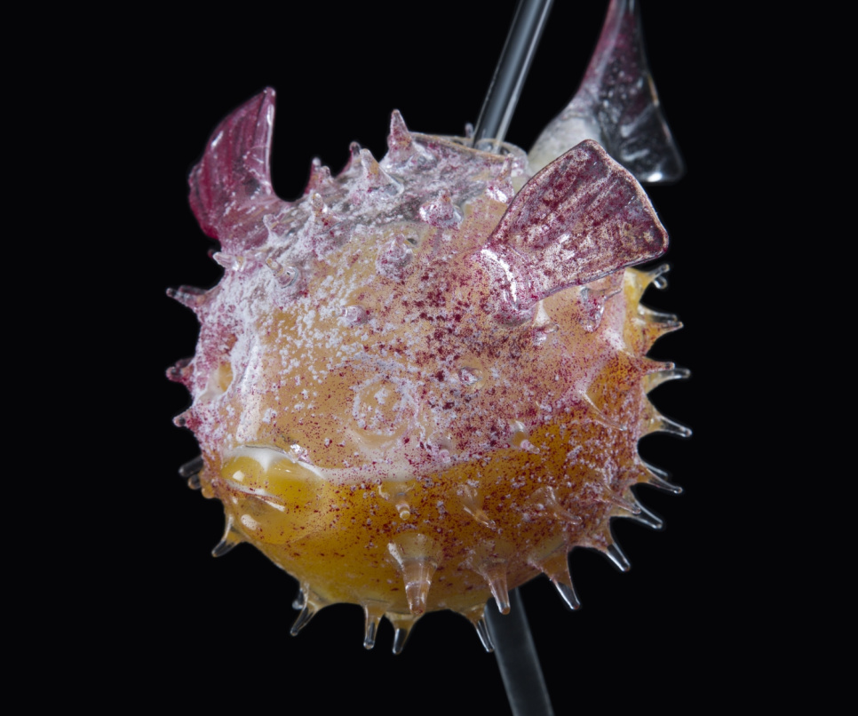 Kieliszek koktajlowy, Fugu - 100% Chef Kieliszek koktajlowy, Fugu - 100% Chef