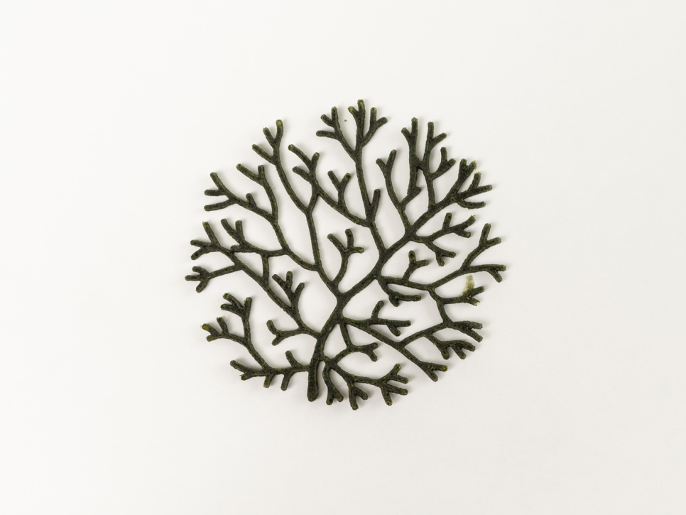 Forma silikonowa do Tuille, Alg - 100% Chef Forma silikonowa do Tuille, Alg - 100% Chef