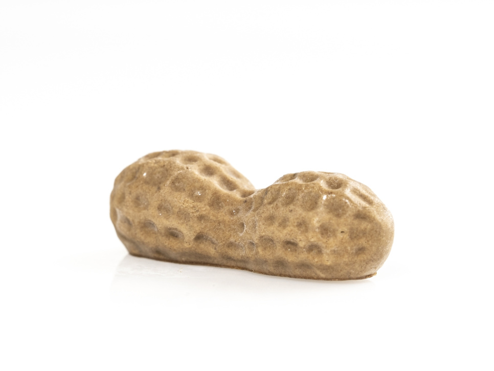 Forma silikonowa do dekoracji, Peanut - 100% Chef Forma silikonowa do dekoracji, Peanut - 100% Chef