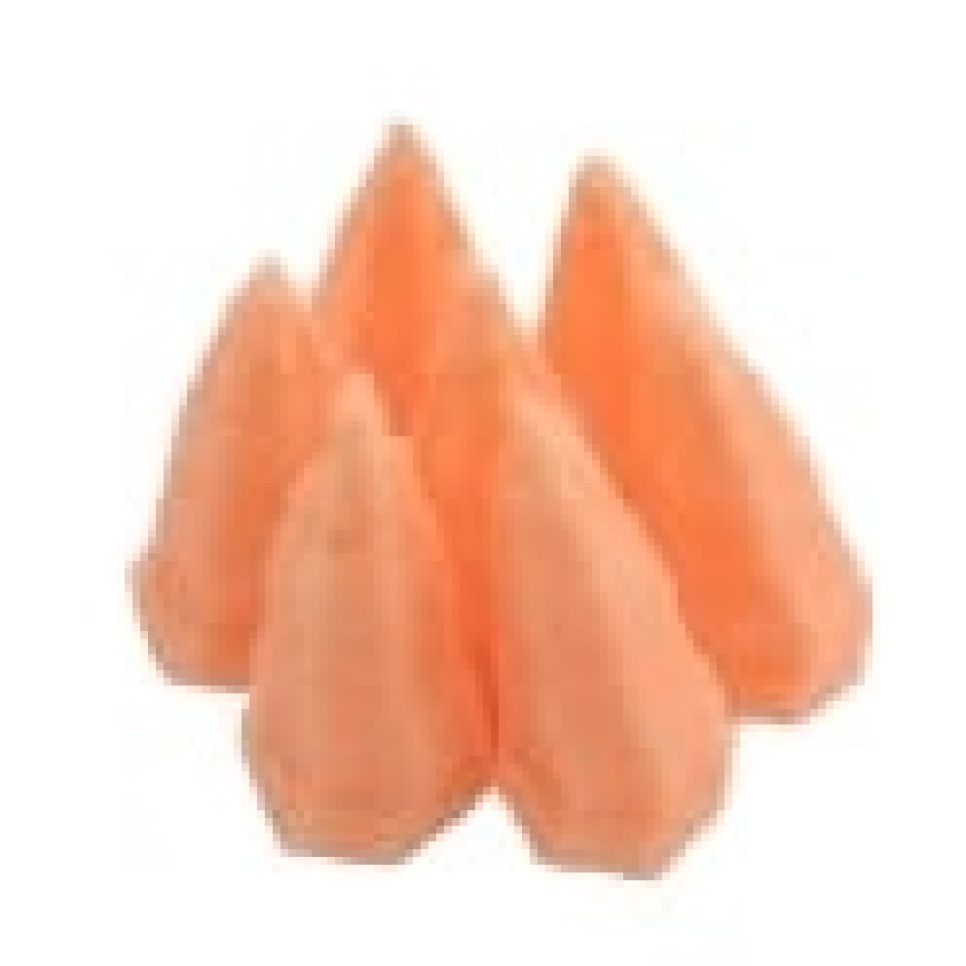 Tylka, gwiazda BX0001 - Martellato Tylka, gwiazda BX0001 - Martellato