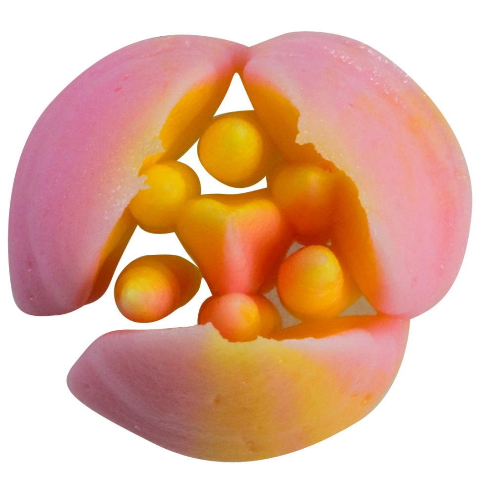 Rosyjska tylka, BX0008 - Martellato Rosyjska tylka, BX0008 - Martellato