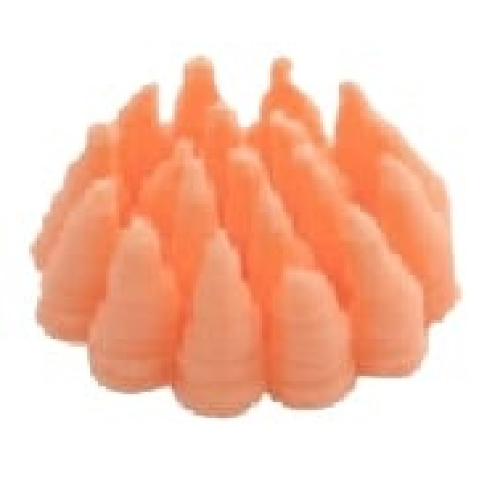 Tylka, gwiazda BX0009 - Martellato Tylka, gwiazda BX0009 - Martellato