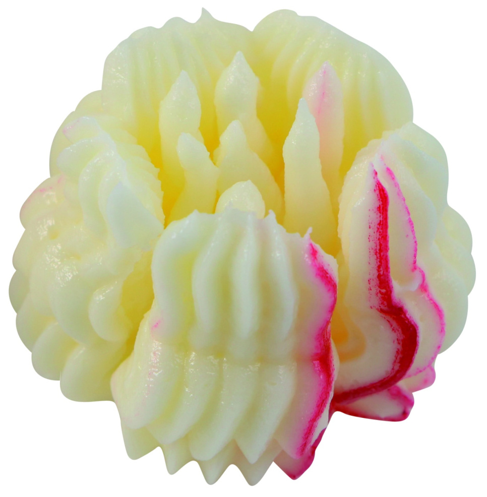 Rosyjska tylka, BX0053 - Martellato Rosyjska tylka, BX0053 - Martellato