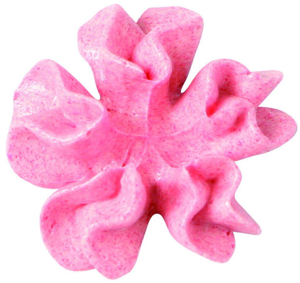 Tylka, róża BX7020 - Martellato Tylka, róża BX7020 - Martellato