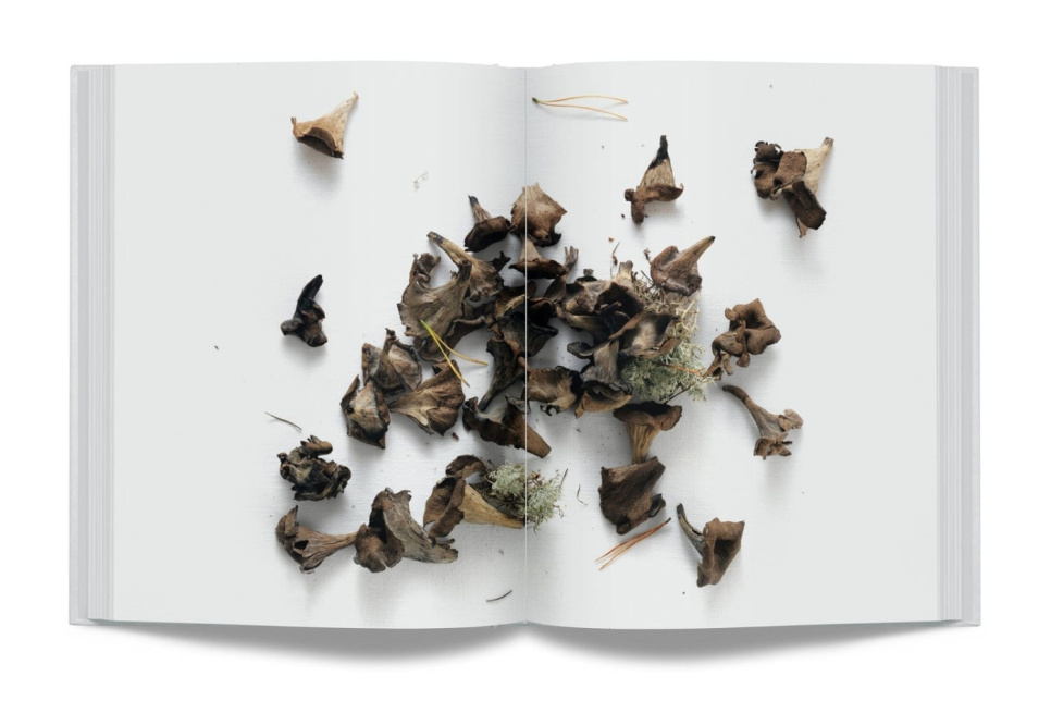 The Year in Gastrology by Jacob Holmström and Anton Bjuhr The Year in Gastrology by Jacob Holmström and Anton Bjuhr