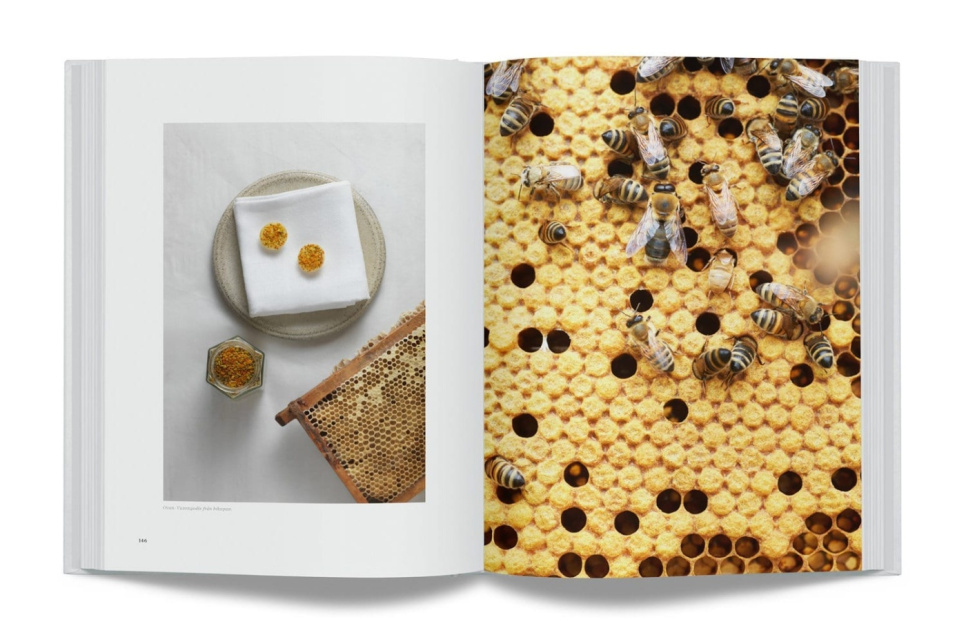 The Year in Gastrology by Jacob Holmström and Anton Bjuhr The Year in Gastrology by Jacob Holmström and Anton Bjuhr