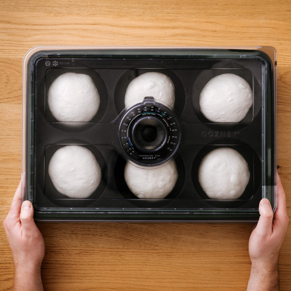Pojemnik na ciasto - Gozney
