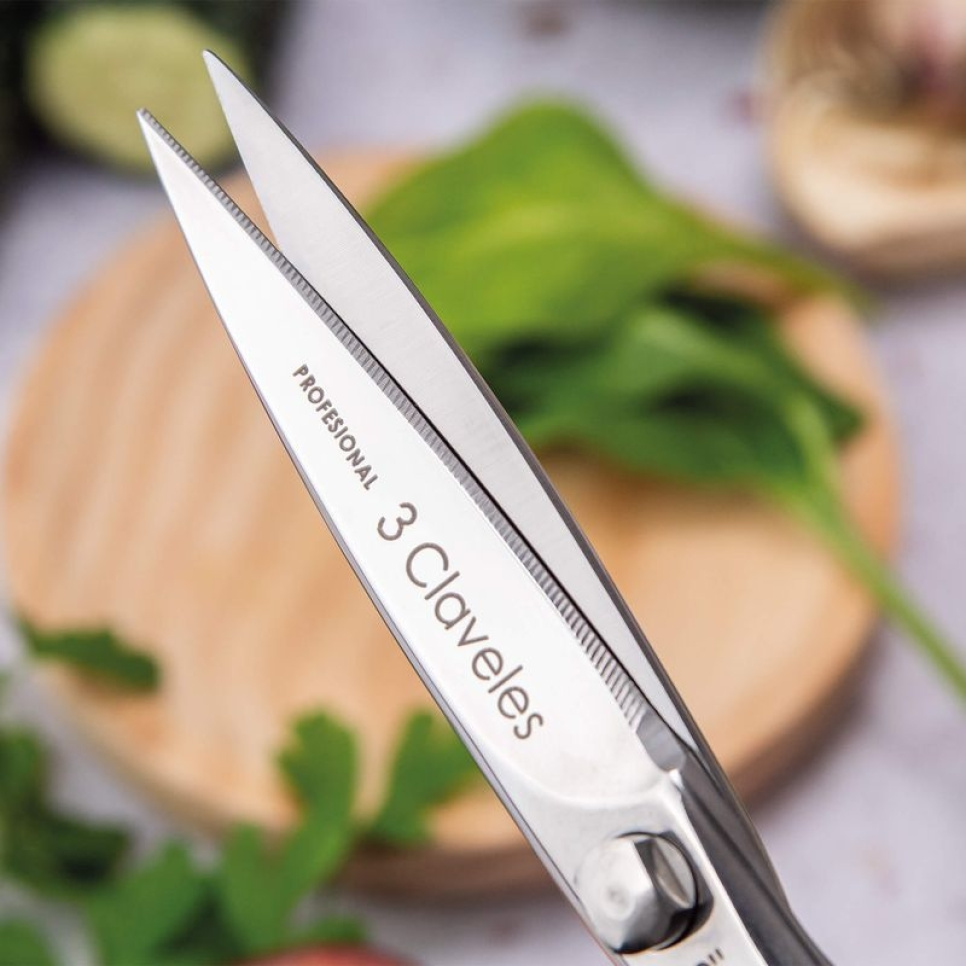 Nożyczki kuchenne 20 cm, Class - 3 Claveles
