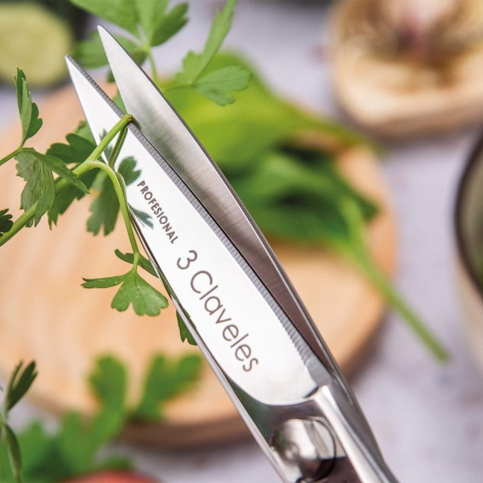 Nożyczki kuchenne 20 cm, Class - 3 Claveles