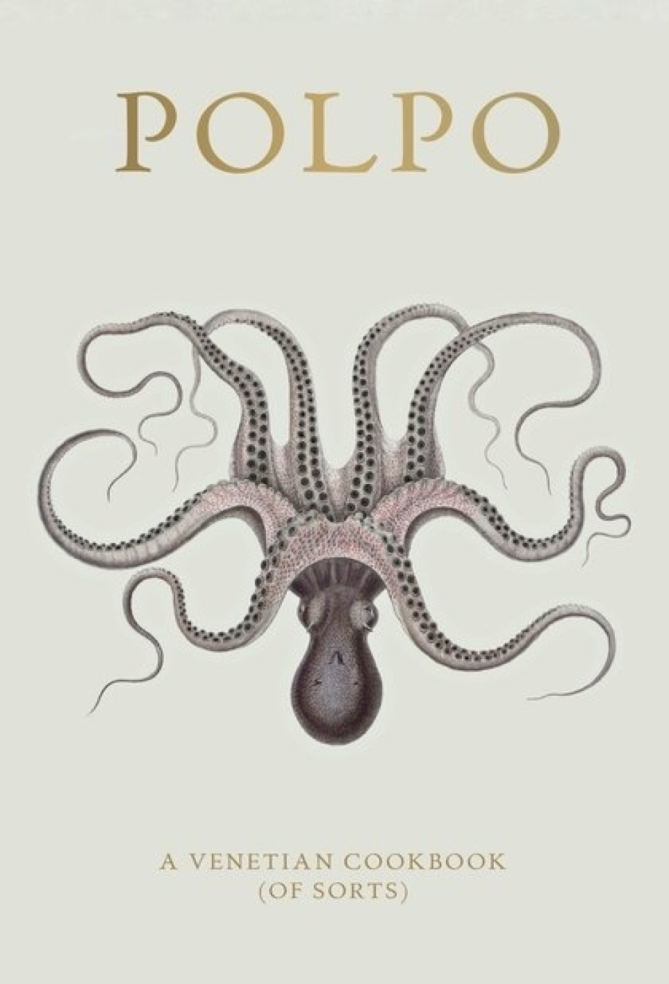 Polpo, A Venetian Cookbook (Of Sorts) - Russel Norman w grupie Gotowanie / Książki kucharskie / Kuchnie narodowe i regionalne / Europa w The Kitchen Lab (1987-26127)