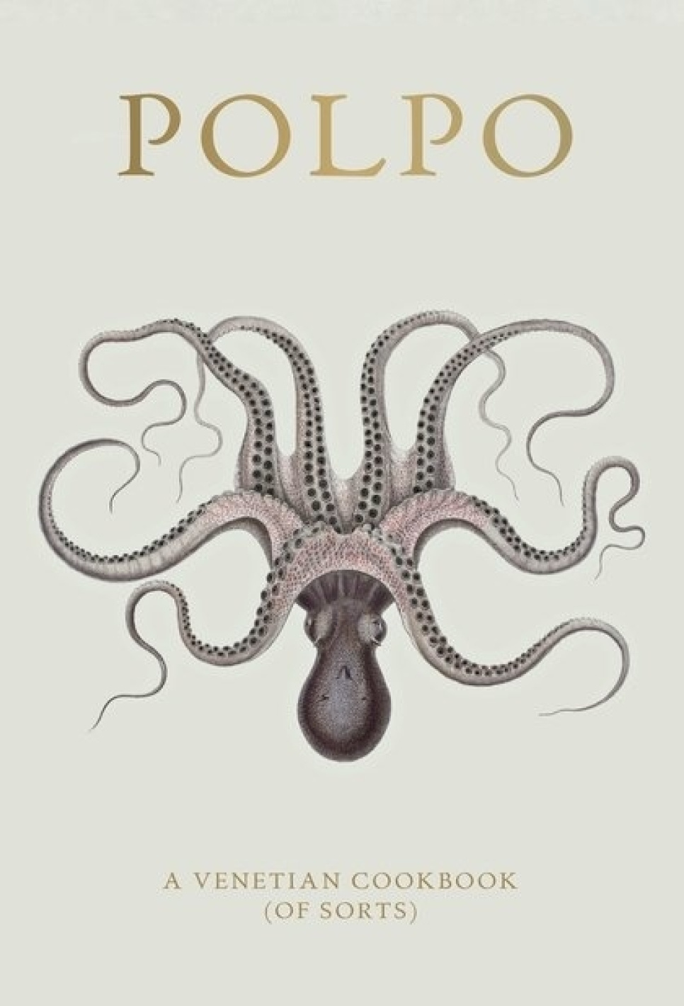 Polpo, A Venetian Cookbook (Of Sorts) - Russel Norman w grupie Gotowanie / Książki kucharskie / Kuchnie & Kultury / Włochy w The Kitchen Lab (1987-26127)