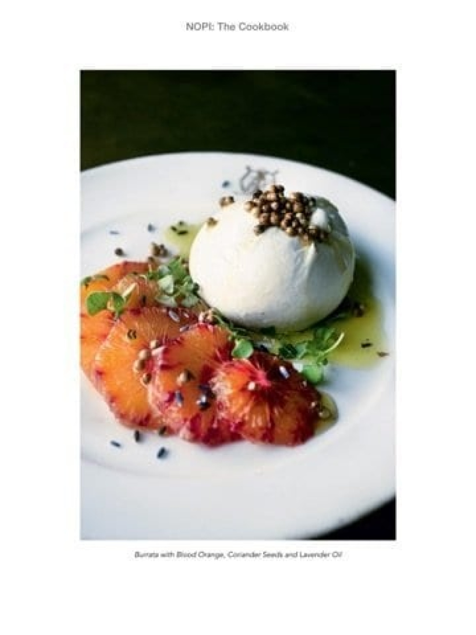 Nopi - Yotam Ottolenghi, Ramael Scully