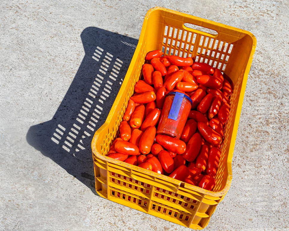 Pomidory San Marzano DOP, 420 g - Casa Marrazzo