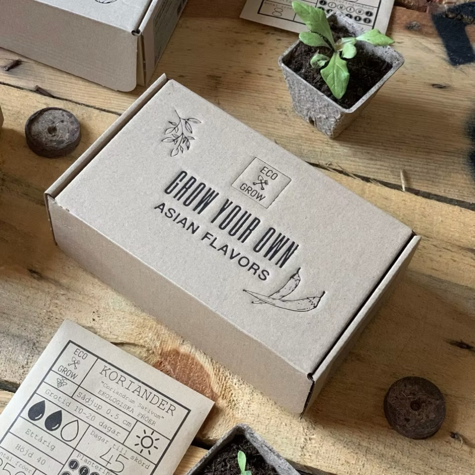 Zestaw do uprawy, smaki azjatyckie (4 szt.) - Eco Grow