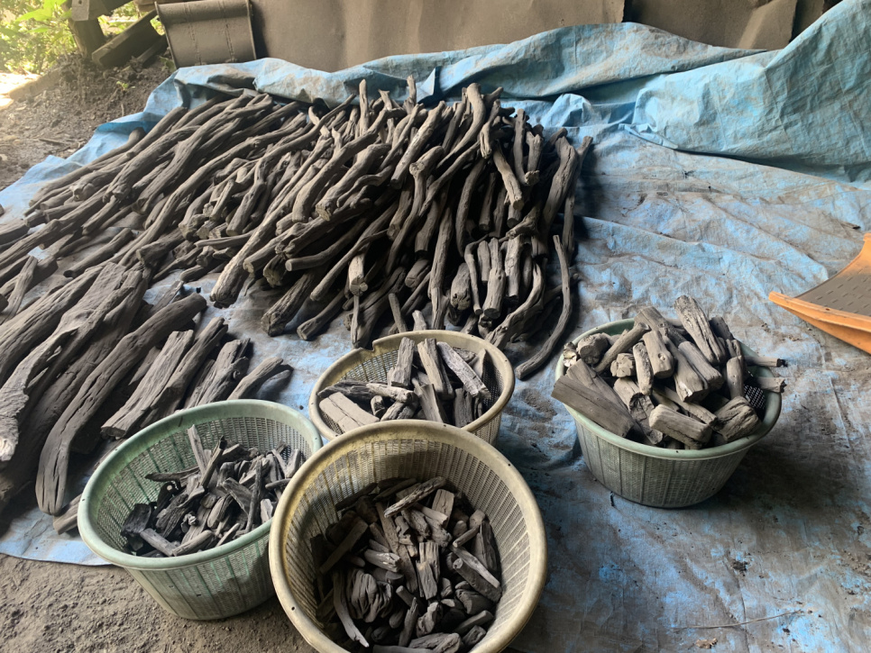 Węgiel drzewny, Kishu-Binchotan z dębu Ubamegashi, około 1 kg - Kisyu Sumikobo