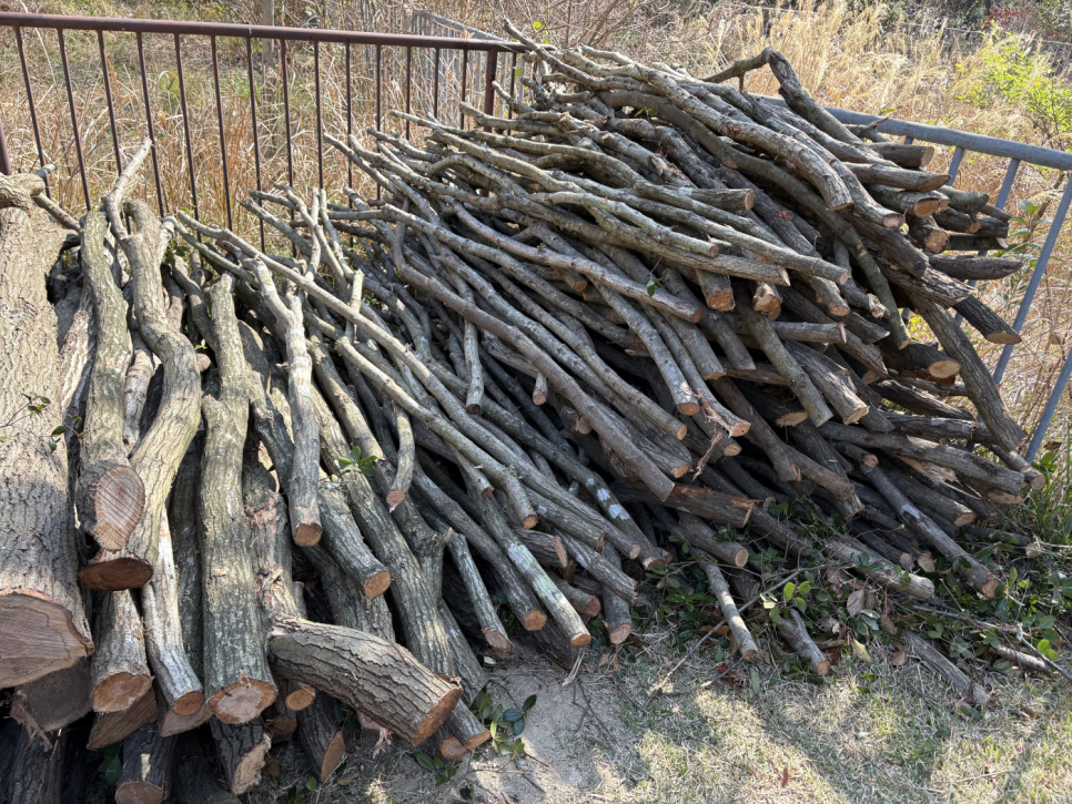 Węgiel drzewny, Kishu-Binchotan z dębu Ubamegashi, około 1 kg - Kisyu Sumikobo