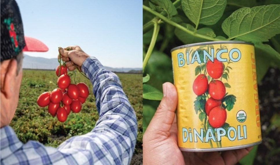 Whole peeled tomatoes, 794 g - Bianco DiNapoli