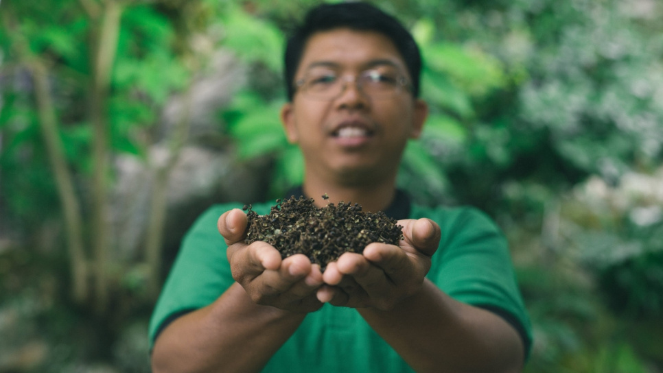 Pieprz, Andaliman, Batak, 15 g - The Pepper Quest