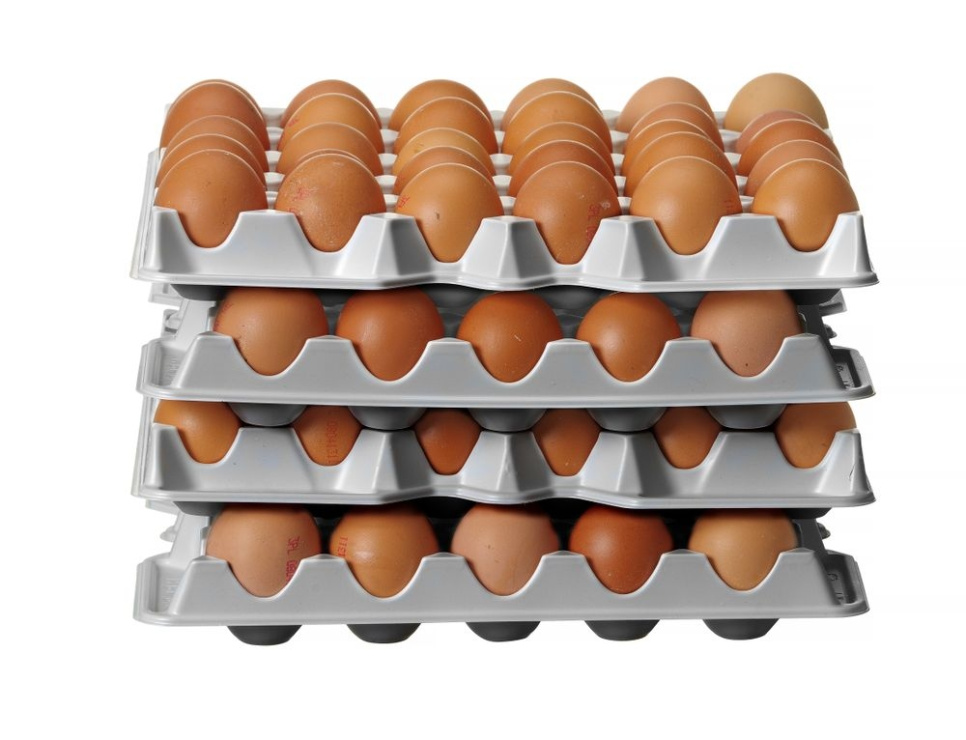 Plastikowa tacka na jajka, opakowanie 4 szt. - Hendi